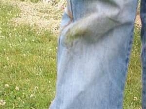 how to remove grass stains from light jeans