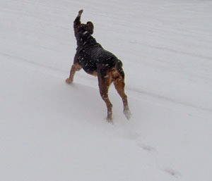 Nana in the snow.