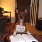 Mandi with feet up on an ottoman with an open book.