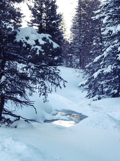 Snow covered stream.