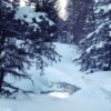 Snow covered stream.