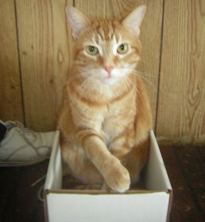 Fry in a box.