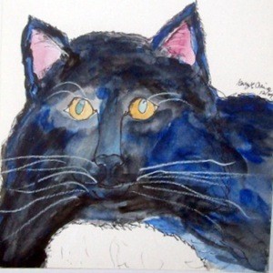 Watercolor of black and white cat.