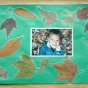 two photo placemats with fall leaves