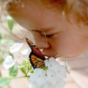 Girl kissing butterfly on white flower