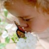 Girl kissing butterfly on white flower