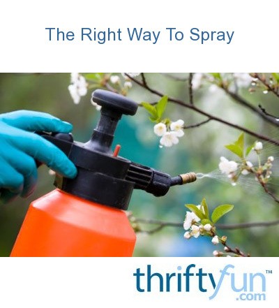 The Right Way To Spray | ThriftyFun