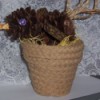 pinecone bird in small jute covered flowerpot