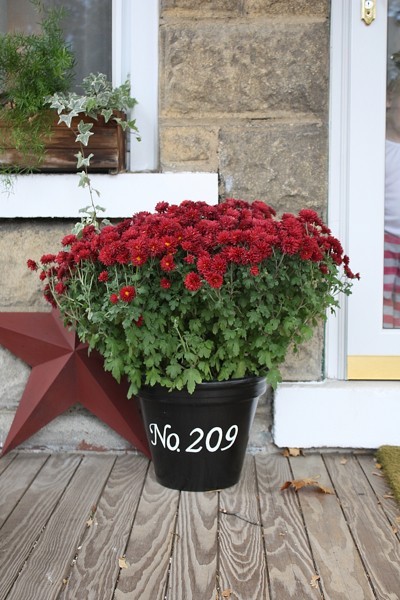 Painted Terra Cotta Pots