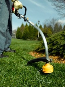 person holding weed wacker