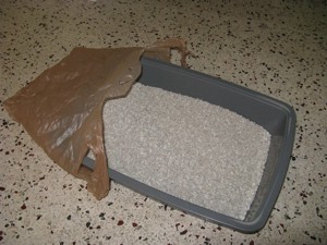 Plastic bag and litter box.