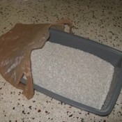 Plastic bag and litter box.