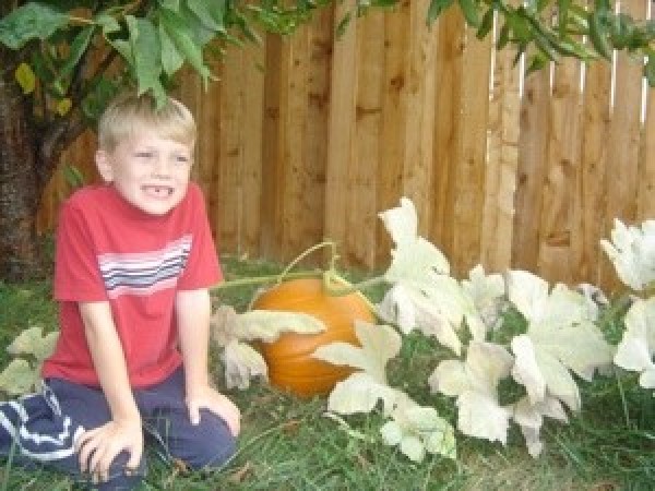 A boy next to a pumpkin patch.