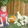 A boy next to a pumpkin patch.