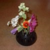 Use Hairdryer Diffuser for Flower Arrangement