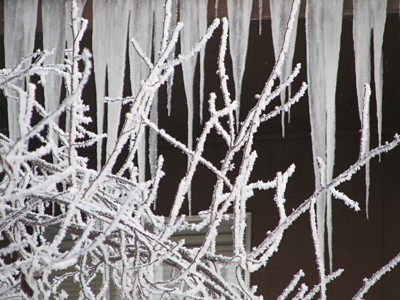 snowy icicles