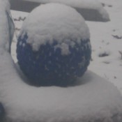 Snow on gazing ball.