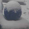 Snow on gazing ball.