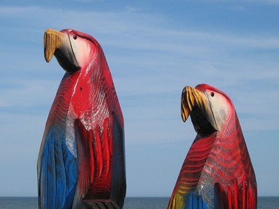 twin wood parrots