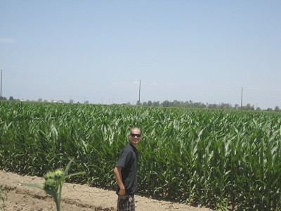 Man standing near cornfield.