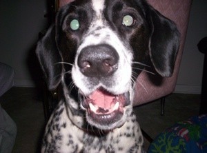 Closeup of Freckles.