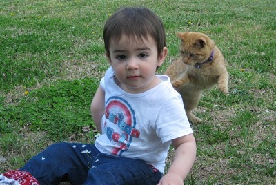 Toddler and kitten