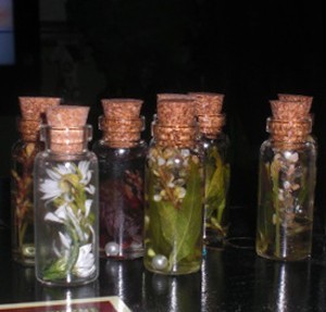 Glass bottles with flowers preserved in oil.