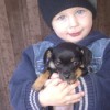 A small puppy being held by a small boy.