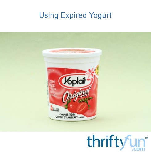 Using Expired Yogurt ThriftyFun