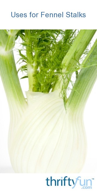 Uses For Fennel Stalks? 