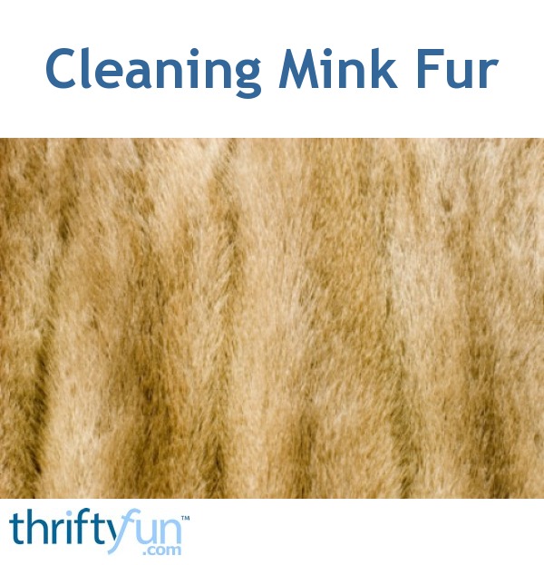 Cleaning Mink Fur? ThriftyFun