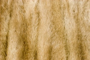 Cleaning Mink Fur
