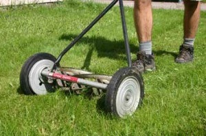 Man Using Push Mower