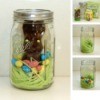 Chocolate Bunny in a Jar
