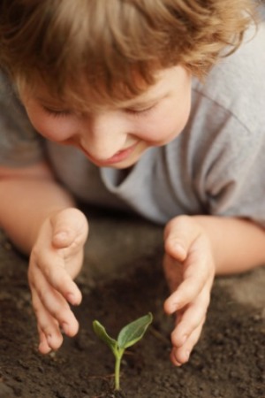 child looking at a plant sprout