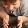 child looking at a plant sprout