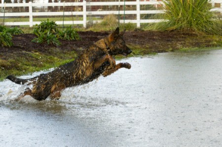 Hitting the edge of the water.