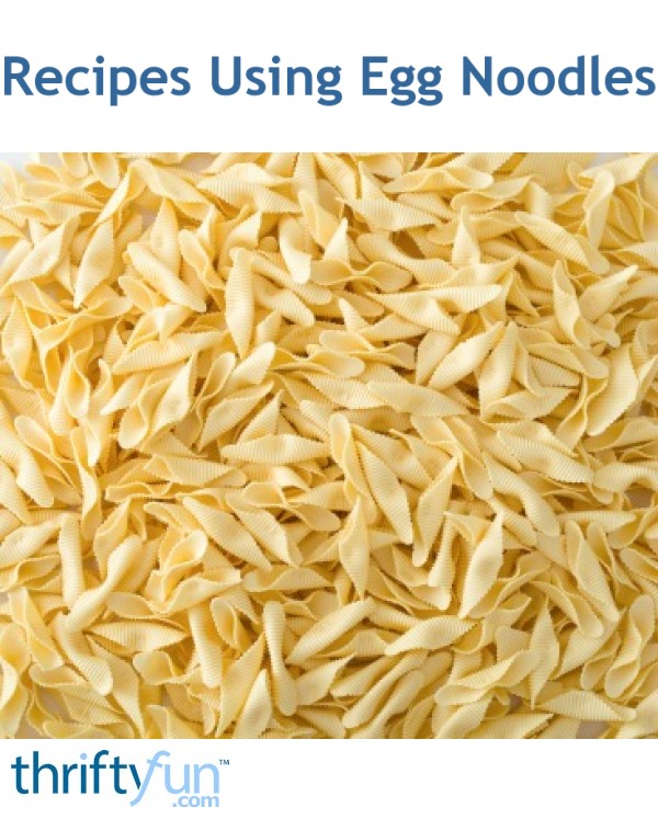 Recipes Using Egg Noodles ThriftyFun