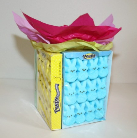 add tissue paper 2