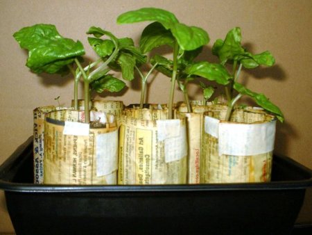 Paper seedling pots