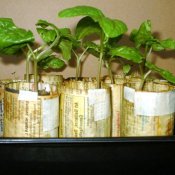Paper seedling pots