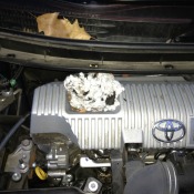 Rodent nest in a car's engine compartment.