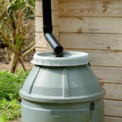 A rain barrel hooked up to a down spout.