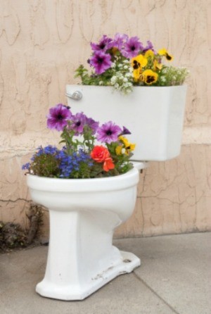 toilet planter