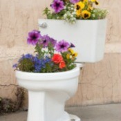 toilet planter