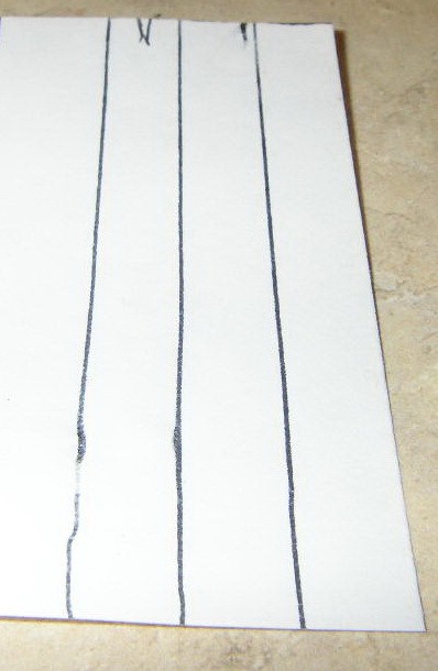 Spring Flower Photo or Note Magnet - Drawing stem.