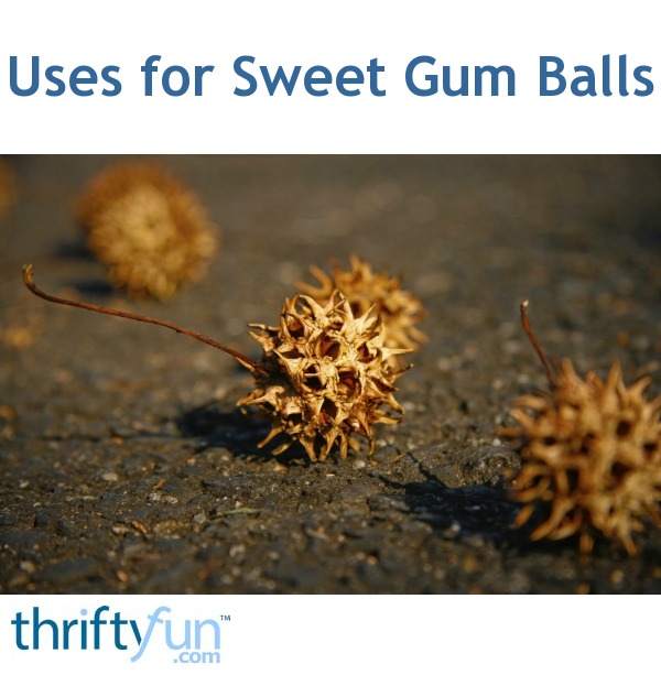 Uses for Sweet Gum Balls ThriftyFun