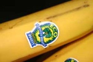 organic banana