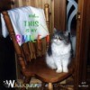 W.h.i.s.p.e.r. (Persian Cat)