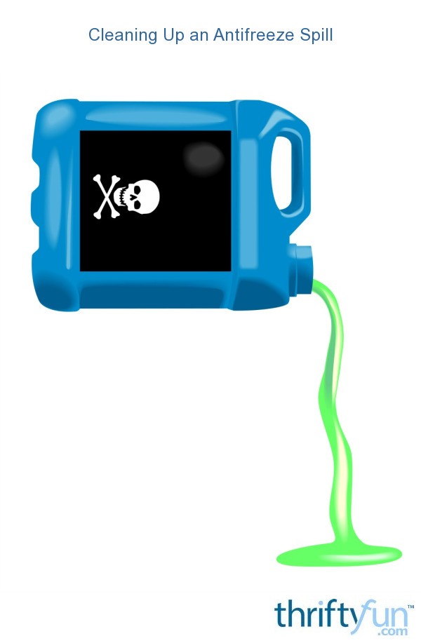 Cleaning Up an Antifreeze Spill ThriftyFun